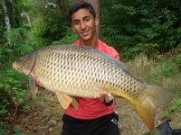 Schuppenkarpfen-2  Schuppi mit 13kg, gefangen von Dorian Günther  Köder: Boilie Datum: 05.September 2012 gegen 12:00 Uhr : Angeln 2012