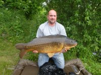 Schuppenkarpfen-4  Dieses Exenplar von 20,1kg hat Alfred Löser im Jahr 2012 gefangen