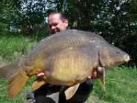 Spiegelkarpfen-13  Gefangen hat Frank Lewalski den Karpfen im Jahr 2008 mit 15,5kg