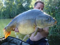 Spiegelkarpfen-5  Ein tolles Exemplar mit 17 kg, gefangen im August 2012 von Daniel Juncker