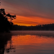 schlosssee angelverein asc emmerichshofen roy
