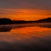 schlosssee angelverein asc roy