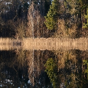 ufer fische angeln schlossee stephan